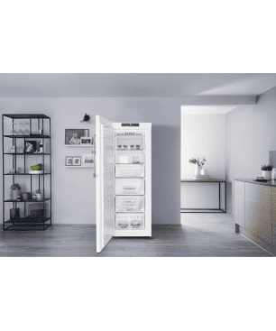 BAUKNECHT GKN 14G3 WS 2 Gefrierschrank (E, 179 Liter, 1420 mm hoch)