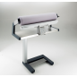 ELECTROLUX PROFESSIONAL IS 185 MYPRO Gewerbe Dampfmangel