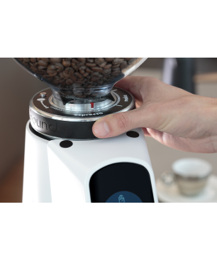 FIORENZATO AllGround Arctic White Walnuß Kaffeemühle Artic Weiß matt Walnuß (250 Watt, 64mm mit Titanbeschichtung)