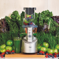 SAGE SJS700SIL4EEU1 The Big Squeeze Entsafter 240 Watt, Silber/Transparent