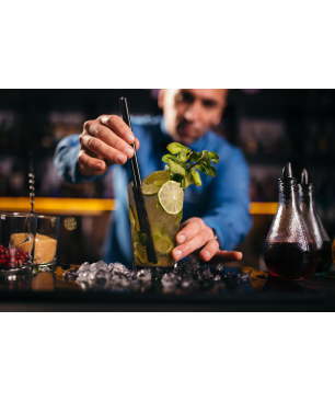 GASTROBACK 41143 EISWÜRFELBEREITER BARTENDER PRO Eiswürfelbereiter (145 Watt, Silber)