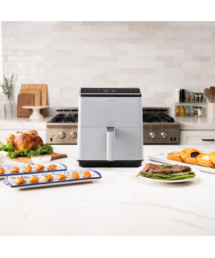 COSORI Dual Blaze Heißluftfritteuse 1700 Watt grau