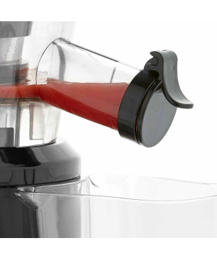 PRINCESS 422290 Entsafter 200 Watt, Grau