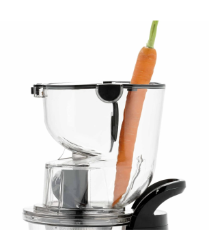 PRINCESS 422290 Entsafter 200 Watt, Grau