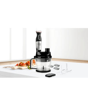 BOSCH MS6CM61V9 Stabmixer Edelstahl (1000 Watt)