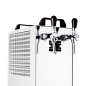 ICH-ZAPFE Zapfanlage - Kontakt 40 2- leitig, 50 L/h Zapfanlage